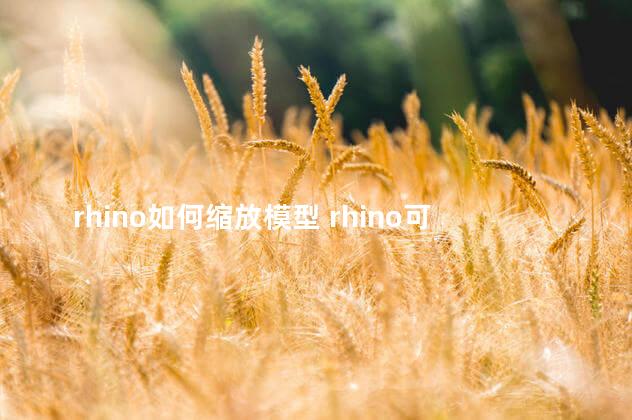 rhino如何缩放模型 rhino可以导入su吗